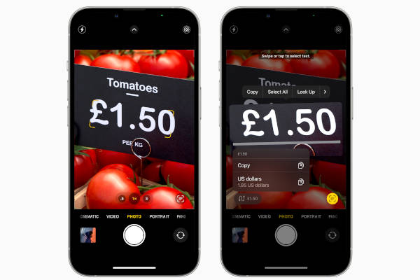 Apple WWDC22 iOS16 Live Text Convert Currency, Image/Apple