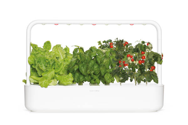 Smart Garden 9, Image/Click and Grow