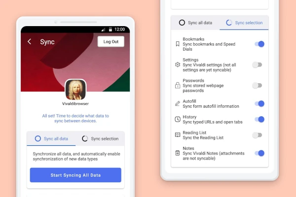 vivaldi 6.5 version