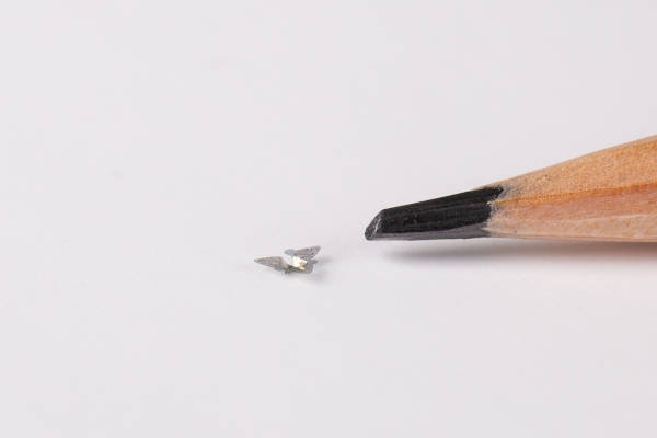 First Flying Microchip micro size, Image/Northwestern University