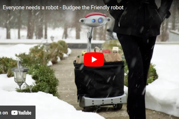 Budgee, a Helpful Personal Robot